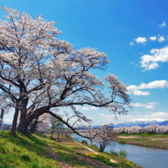 Kaosscosmos S Stream Kaosscosmos S Stream