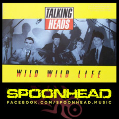 Talking Heads - Wild Wild Life (Spoonhead Remix)