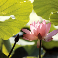 Kitte-no-nai Okurimono