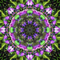 Overreaction - Creative Integration (Original Mix)