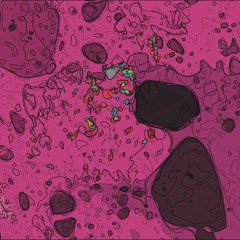 Magnetic Resonance image alignment part 2