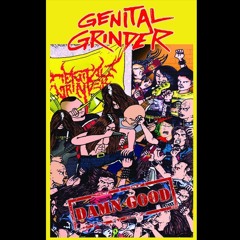 Genital Grinder - Damn Good