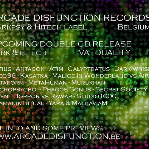 Yara & Malkaviam - The awful truth (Va Duality @ Arcade Disfunction Records,2013)