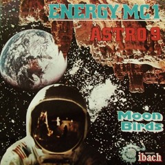 Moon Birds - Astro 9