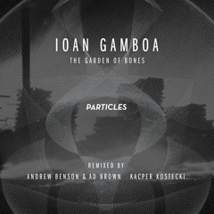 Ioan Gamboa - The Garden Of Bones (Ad Brown & Andrew Benson remix) // Particles