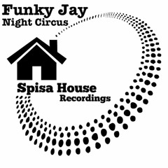 Funky Jay - Night Circus
