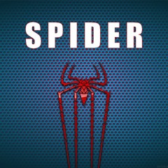 SPIDER - Rangila 2013