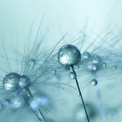 POSSIBILITY (Lykke Li - Twilight Soundtrack Cover)