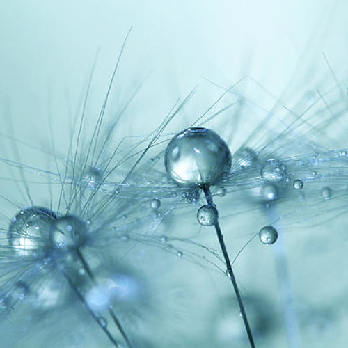 POSSIBILITY (Lykke Li - Twilight Soundtrack Cover)