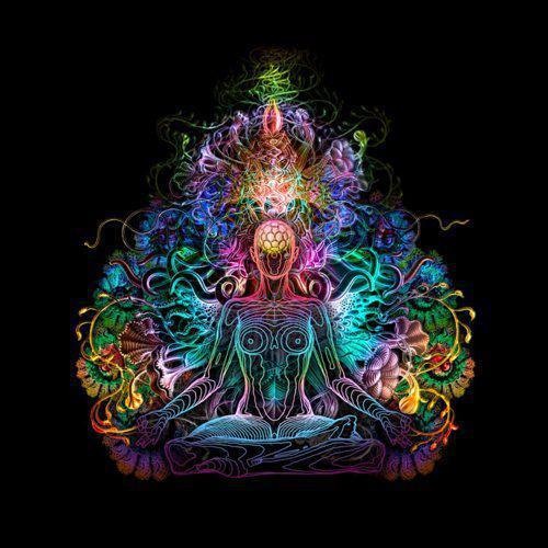 Joyl - Digital Karma DEMO (no mst)