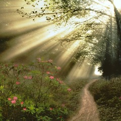 يا ايها الانسان حدق هل ترى