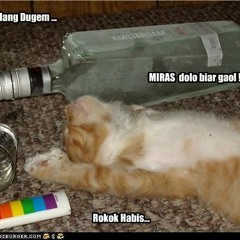 After Party - MauLMYST