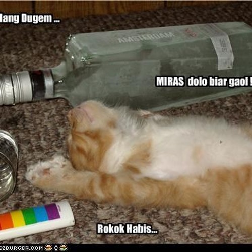 After Party - MauLMYST