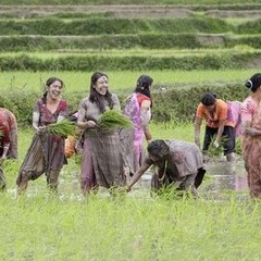 Asare Mahinama (Original song by Chujan Dukpa) - YouTube