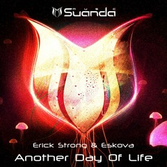 Transcendental Mix