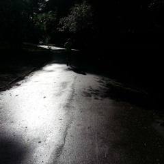 Hate Bribes at Bingham Park