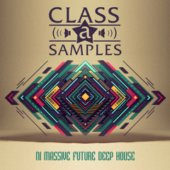 NI Massive Future Deep House (Beatport Class A Samples)
