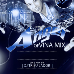 Đau 2013 - Dj Triệu Lador ft. Vũ Duy Khánh [Master Mix]
