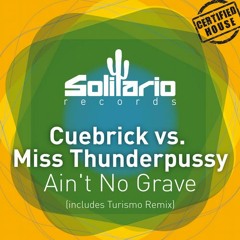 Cuebrick vs. Miss Thunderpussy - Aint No Grave