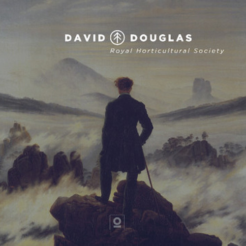 David Douglas - California Poppy