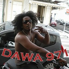 Dawa-Pa Fé Marche Arriere (Diplomat De L'ombre)