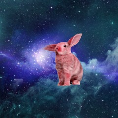 Space Rabbit