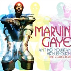 Marvin Gaye - Ain't No Mountain High Enough (DJ Barrister's Motown Dub)