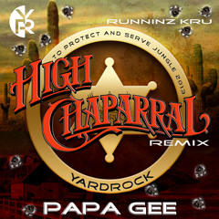 RIQYR0011 - Runninz Kru - High Chaparral - Papa G Remix