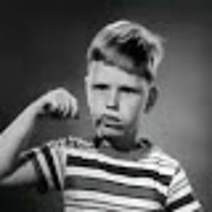 A Bee Sees (working title)