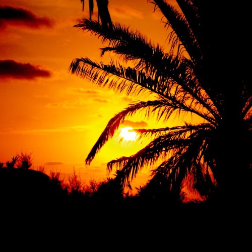 DjViBeS *  Ibiza Session *  June - 2013