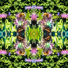 Blossom jewels ( Perception Deception EP - out now )