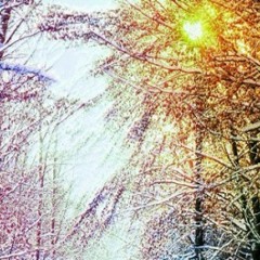 01 luz do meu caminho