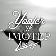 Yoofer ft. Imotep - Leaf