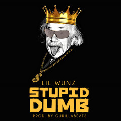 Lil Wunz - Stupid Dumb Prod. by gurillabeats