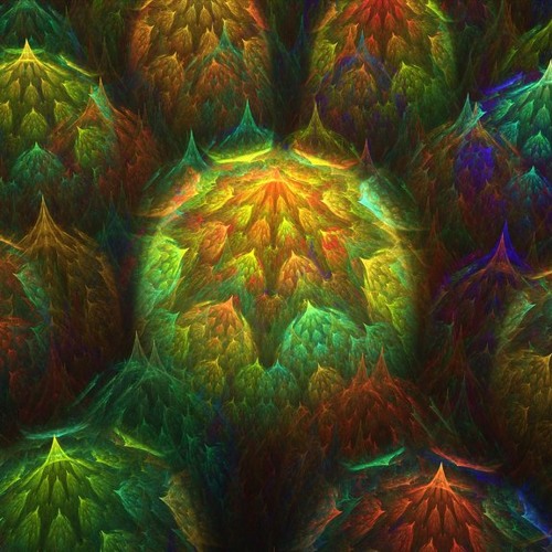 Seed - Planting Dub - a journey into ethnic dub