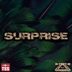 ZEKE&ZOID- SURPRISE [TSS Exclusive]
