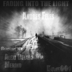 Fading Into The Light//Andres Feles - Anipla(Merino's Gliding Remix) Preview