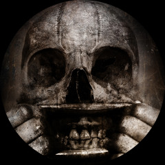 [NST074] Repressor & Dolgener - It All Starts With Repetition (2x12")