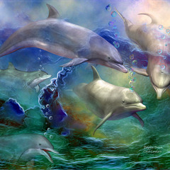 Mysterious Dolphin- Live at INC 6/14/13