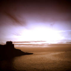 [Carpe Surfem] Going West