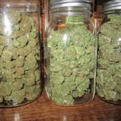 Hope it gets u BUZZING.