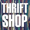 Thrift Shop - The Raging Idiots Ft artist Ashley Monroe (also of the Pistol Annies)