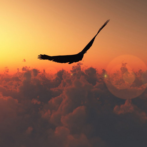 Flying Home ['Buy' is a free download!]