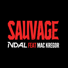 N'dal feat mac Kregor sauvage main master PROD BY LEVEL BEATS