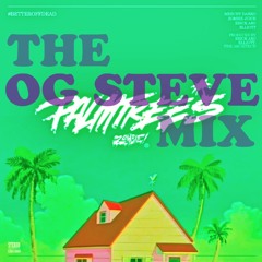 Flatbush ZOMBiES - Palm Trees (OG Steve MIX)