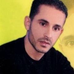 وليد التلاوي 2013
