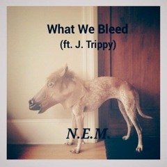 What We Bleed (ft. J. Trippy)
