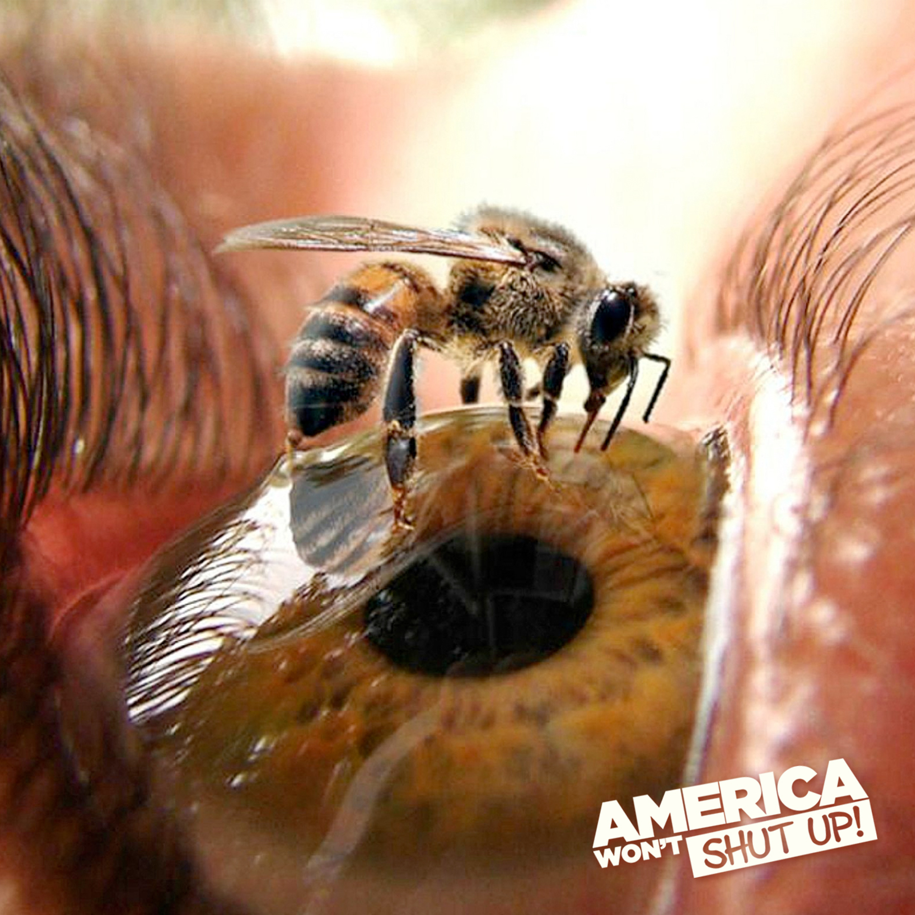 About Getting Stung by Bees! with Georgie Aldaco & Katie Simon