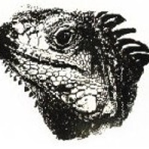 mInDwAx - Picotto Madness