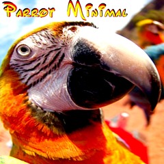 Marcel Alexander - Parrot Minimal